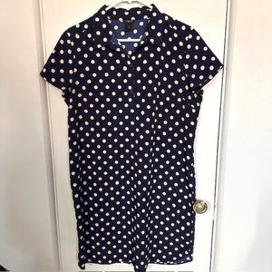 Ann Taylor polka dot shirt dress